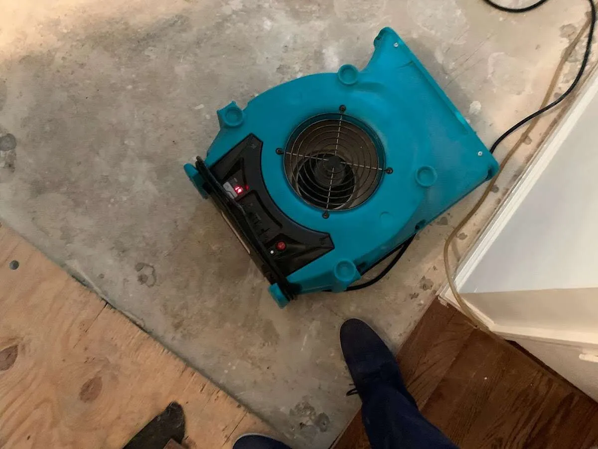 Air mover drying subfloor during Leak Detection & Repair in Baldwin City
